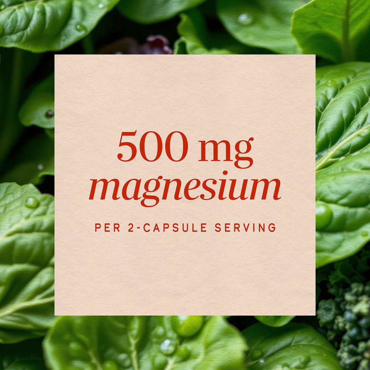Nature's Way High Potency Magnesium Complex 500mg 100 Capsules