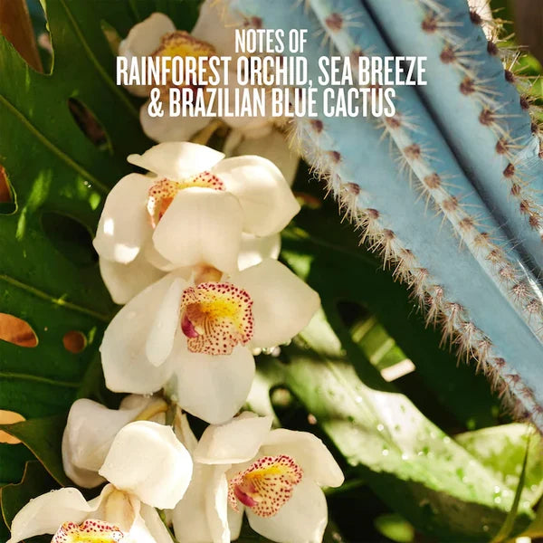 Sol de Janeiro Refresco Paraíso Hair & Body Perfume Mist 90Ml