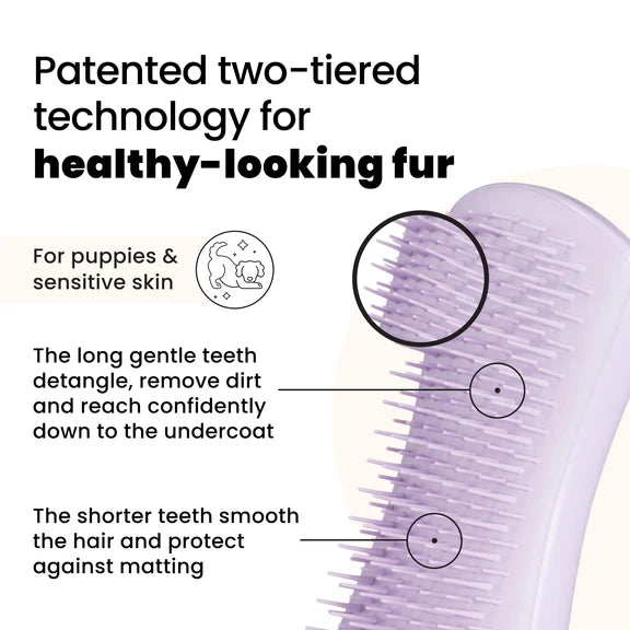 Tangle Teezer Pet Puppy Grooming Brush