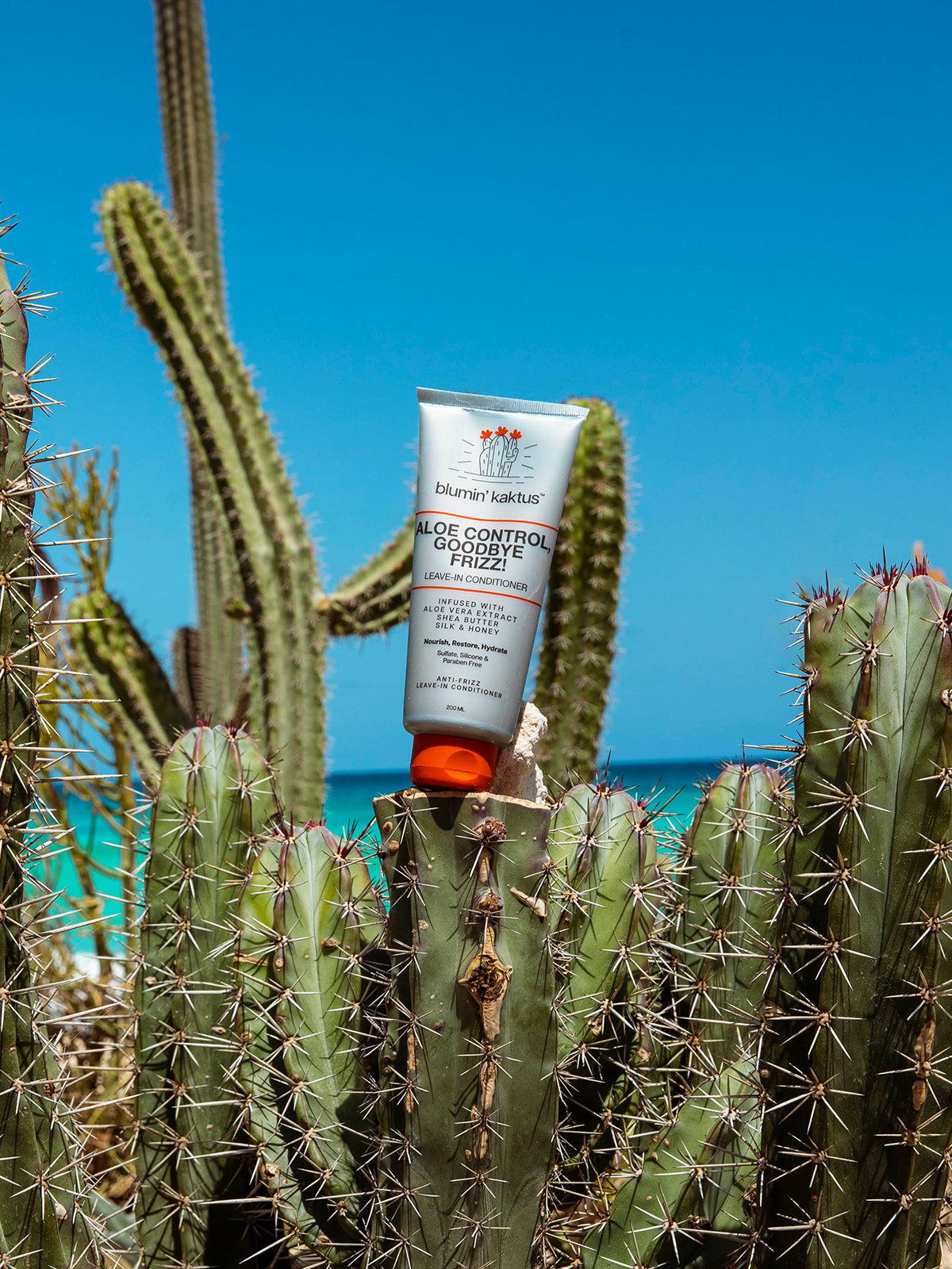 Blumin Kaktus Aloe Control Goodbye Frizz Leave In Conditioner 200Ml