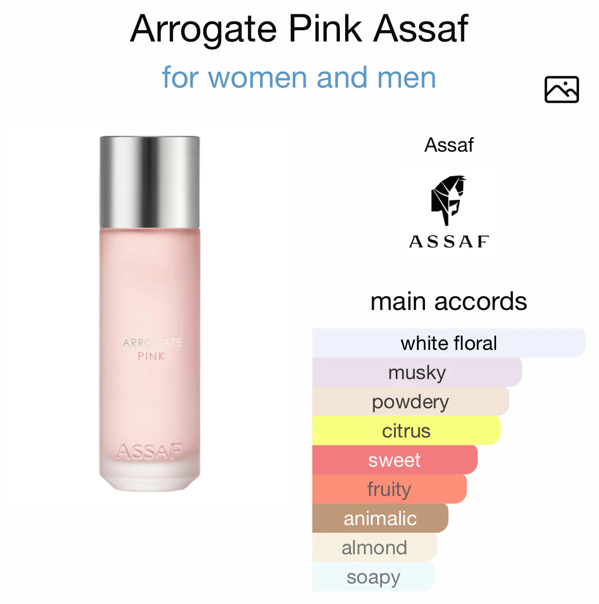 Assaf Arrogate Pink EDP 200Ml