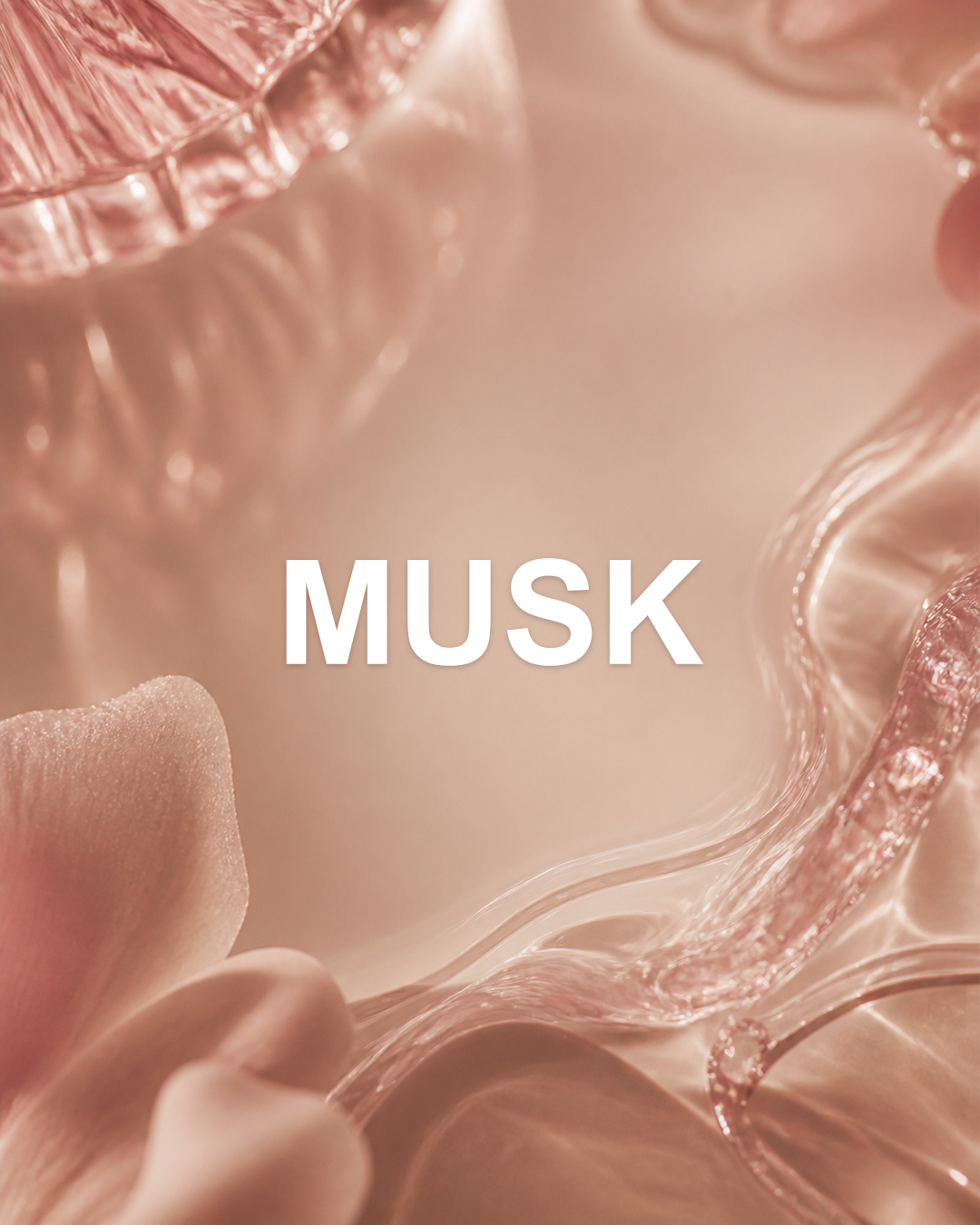 Sorella Candy Musk Eau De Parfum 30Ml